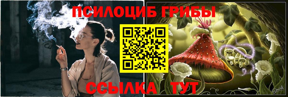 Златоуст  Галлюциногенные грибы Psilocybe  магазин продажи наркотиков  Вход с VPN 